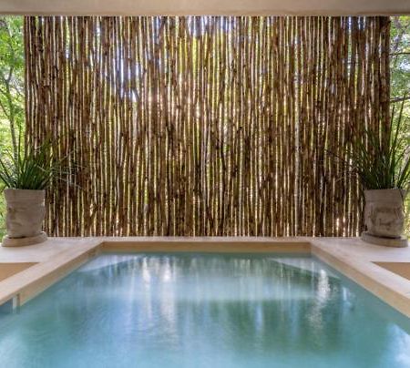 فيلا Casa Cenote Private Pool Gated تولوم المظهر الخارجي الصورة